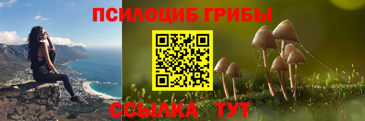 Псилоцибиновые грибы мицелий  Вход с VPN  Новоалтайск 
